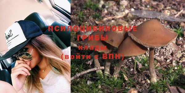 ешки Арсеньев
