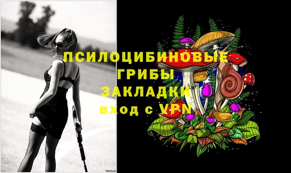 МДПВ Армянск