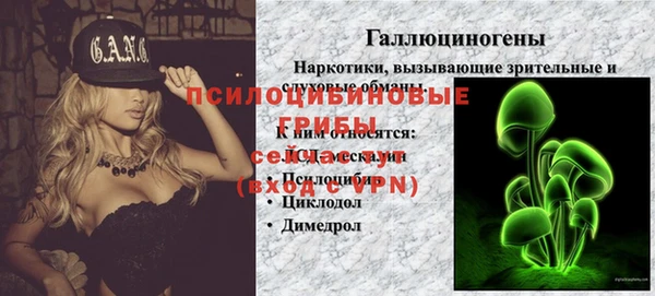 ешки Арсеньев